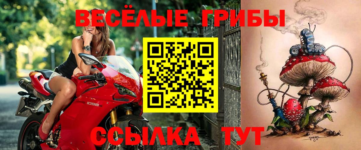 Псилоцибиновые грибы Magic Shrooms  Вход с VPN  Галлюциногенные грибы GOLDEN TEACHER  Трёхгорный 
